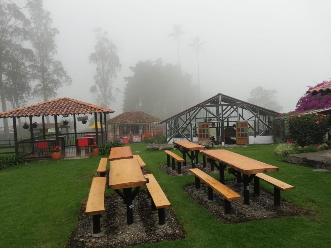 Palmas De Cocora Pensionat Salento Exteriör bild